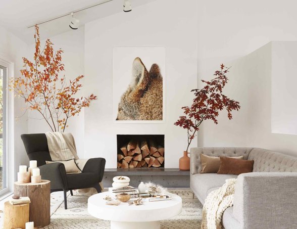 A citrom illóolaj hatásai és felhasználása